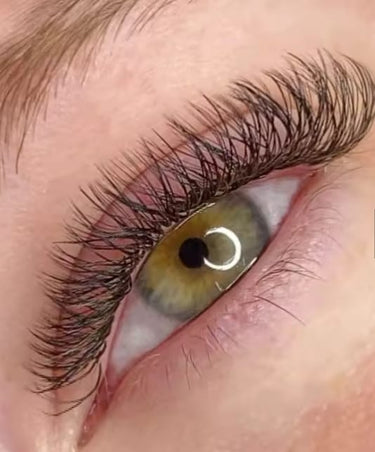 FEMICA-DIYDAY_Decemars Nagaraku _3D4D5D6D7D8D Easy fanning eyelashes_W_Shape_Eyelash_Extension_W_Style_Faux_Mink_Eyelashes_Premade_Volume_Fan_Lashes_Supplies